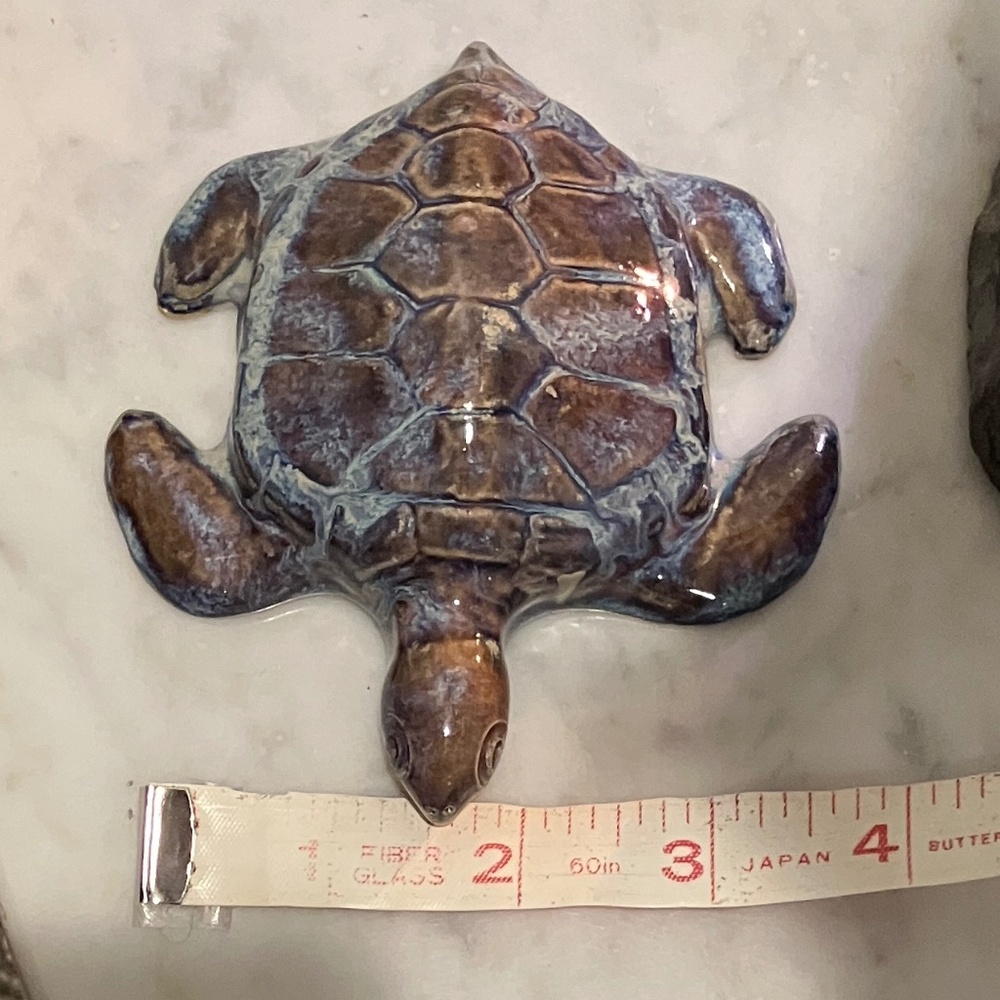Sea Turtle - Picture 11 of 11